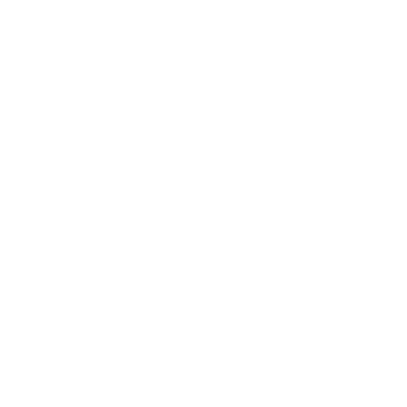 Dragon Cargo Movers logo
