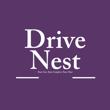Drive Nest logo