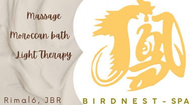 Bird Nest Spa logo