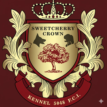 SCCROWN logo