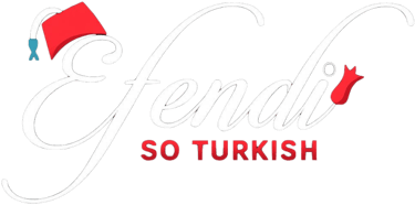 Efendi logo