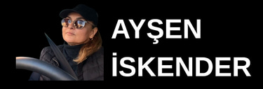 direksiyondersiaysen logo