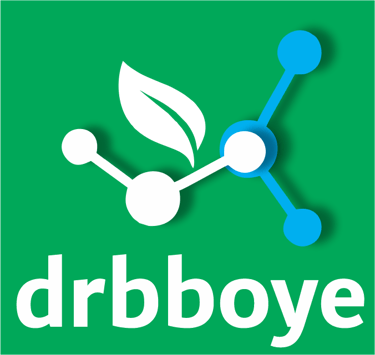 drbboye.com logo