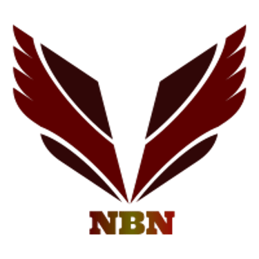 NBN Projects private Limited logo