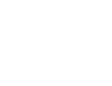 SRG Studios: Action-Packed PC Games for Steam & Epic Store  logo