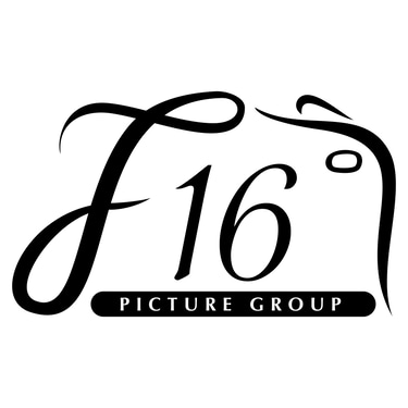 f16 picture group logo
