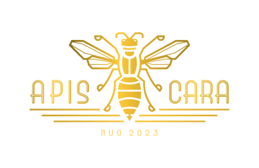 APIS CARA logo