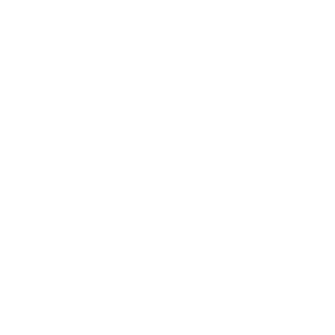Valet for Homes logo