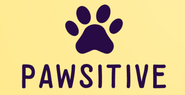 Pawsitive Pet sitting Dog boarding logo