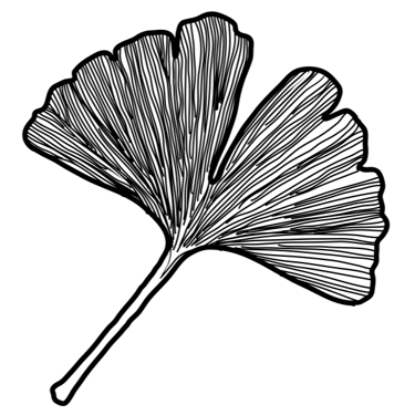 Larissa Koch Gesundheitsberatung Speakerin  logo