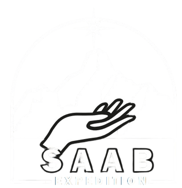 SaabExpedition logo