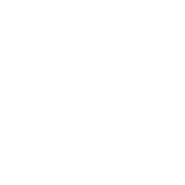 InfoNet logo