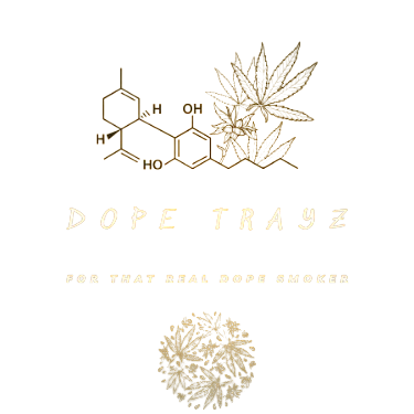 DopeTrayz logo