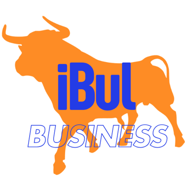 IBUL Business & Consulting Services LLP logo