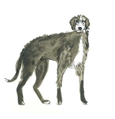 Pooch Home-Stay logo