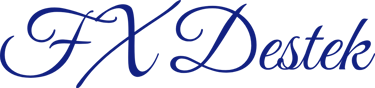 FxDestek logo