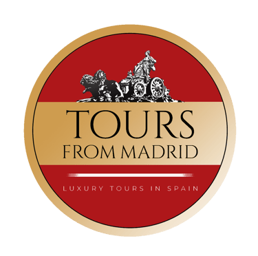 TOURS FROM MADRID logo