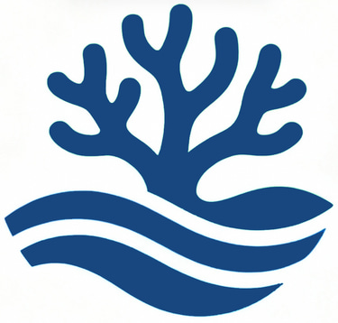 BioMaDive logo