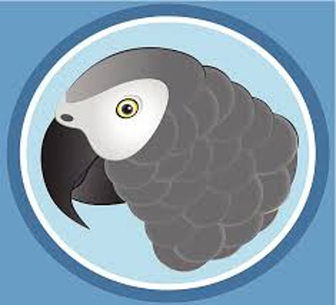 African Grey Parrot shop logo