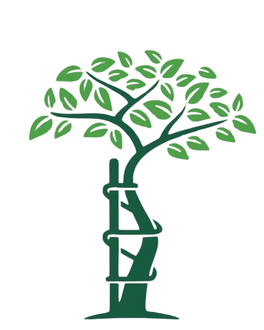 Doctor Manuel Murillo logo