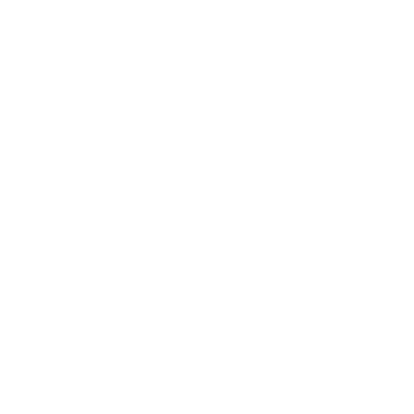SAAM logo