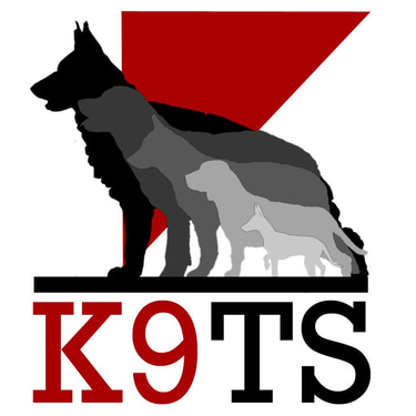 K9 Training Solutions logo