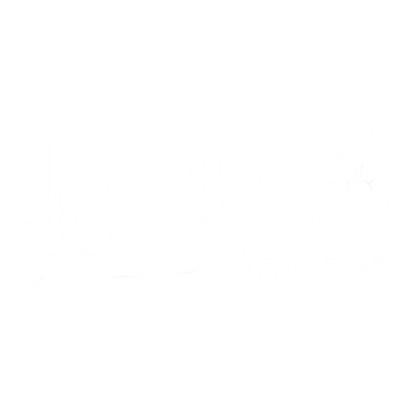 PakaawTrips logo