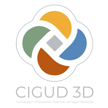 CIGUD 3D logo
