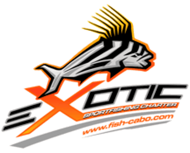 EXOTIC FISH CABO logo