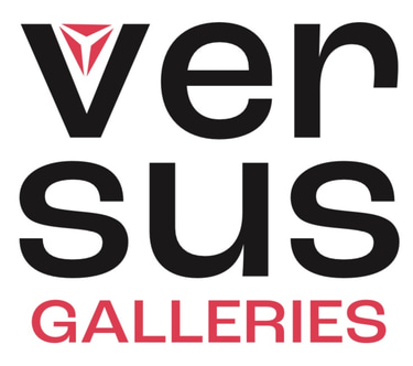Versus Galleries logo