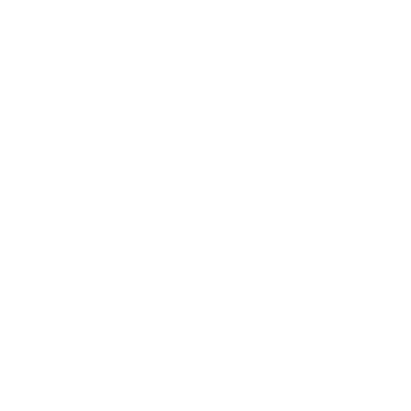 Executive Decisions logo
