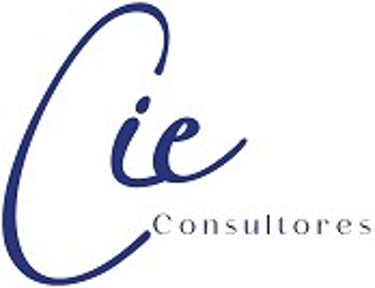 CIE Consultores logo
