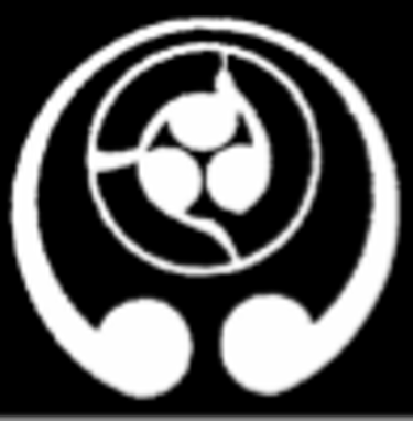 Goju Karate St Annes logo