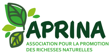 APRINA logo