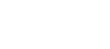 STEER logo