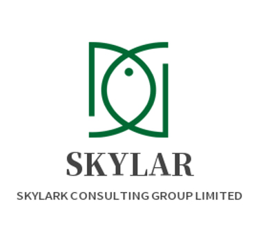 SKYLARK CONSULTING GROUP LIMITED logo