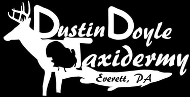 Dustin Doyle Taxidermy logo