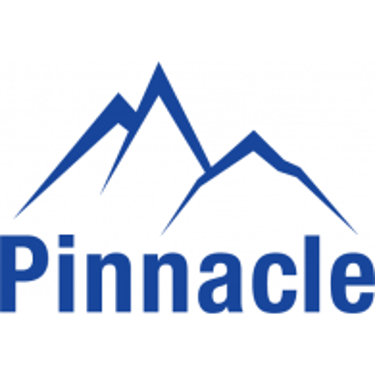 PINNACLE EXIM IT SOLUTIONS L.L.C logo