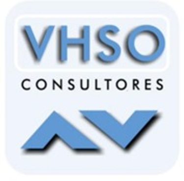 vhso consultores logo