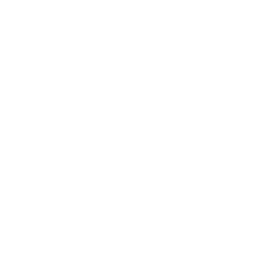 Being Source Manifesting logo
