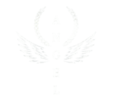 Aesthetic Black Agência de Marketing para Academia logo