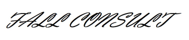 FALL CONSULT logo