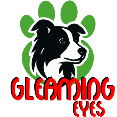 Dashing Dawn "Gleaming Eyes" logo