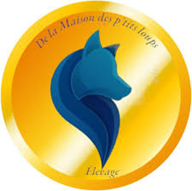 la maison des pti loup logo