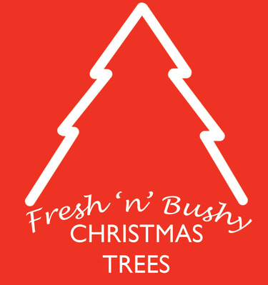 Fresh n Bushy Christmas trees logo