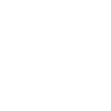 Daniel Gering logo