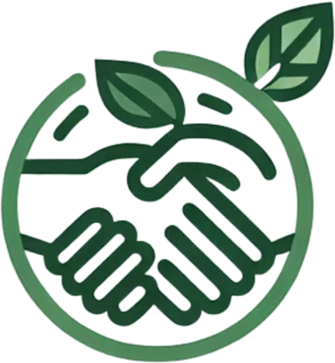 Conseil et Stratégie  logo