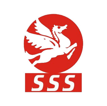 SURYA SECURITY SOLUTIONS logo