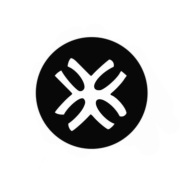 Visual Securities Pvt Ltd logo