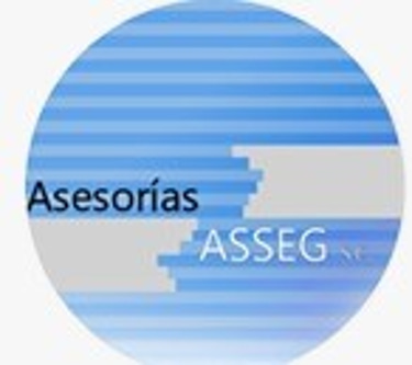 Asesorias ASSEG SC logo